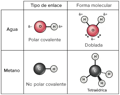 Enllaç covalent